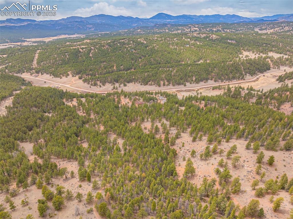 1736 Wildhorn Road Florissant CO 80816