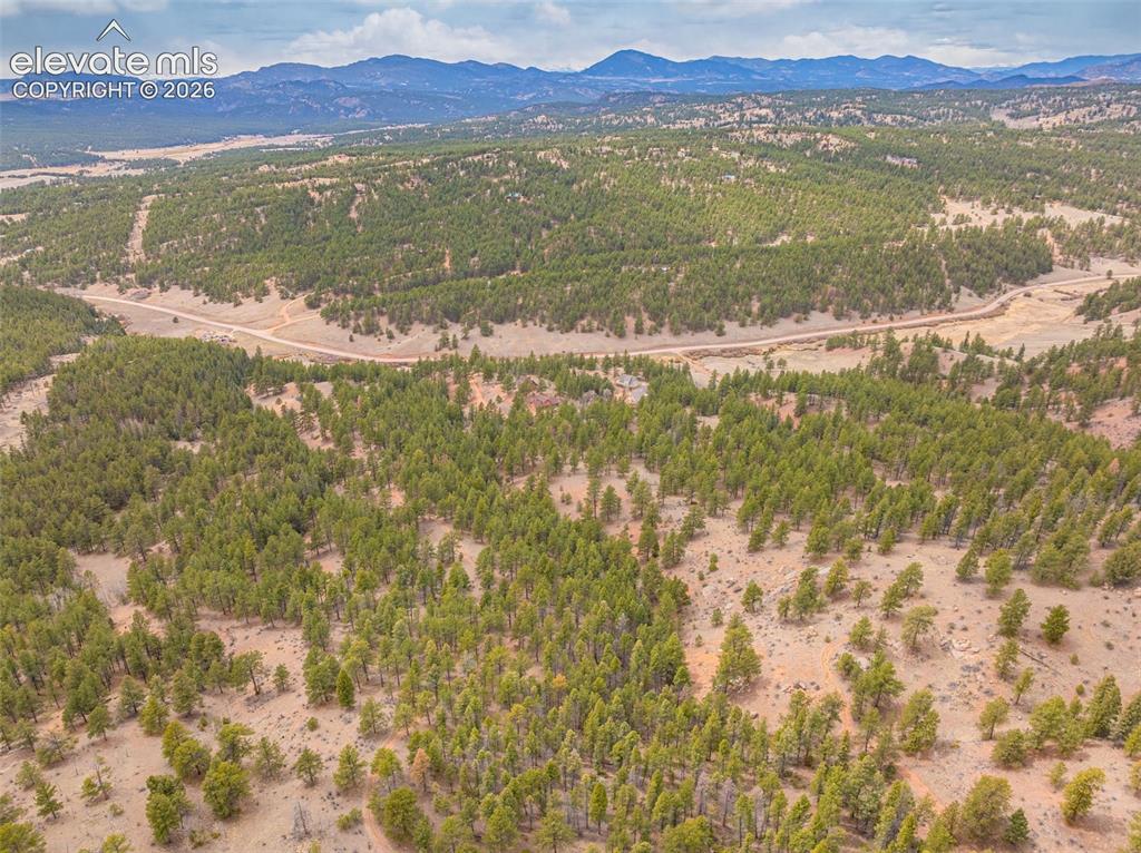 1736 County Road 3 Road Florissant CO 80816