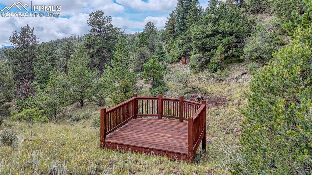 62 Cheyenne Road Florissant CO 80816