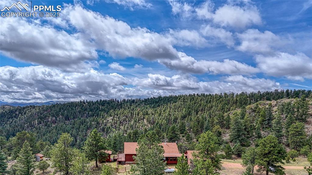 62 Cheyenne Road Florissant CO 80816