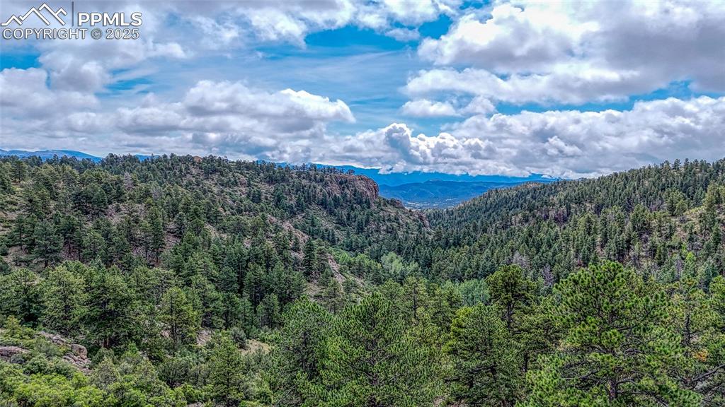 62 Cheyenne Road Florissant CO 80816