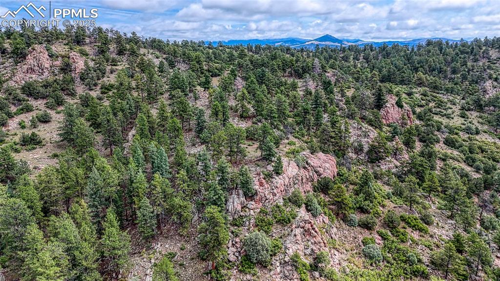 62 Cheyenne Road Florissant CO 80816