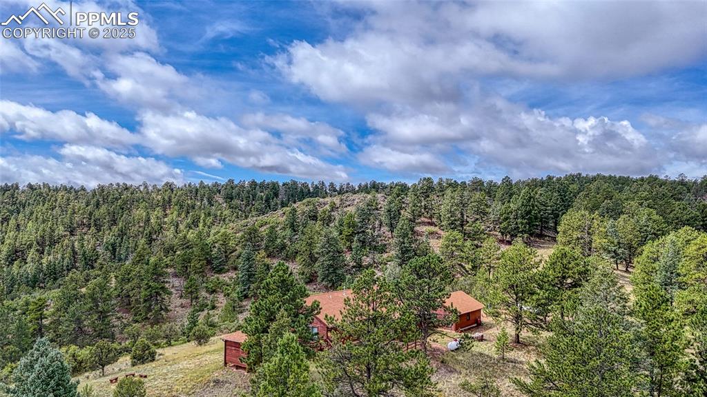 62 Cheyenne Road Florissant CO 80816