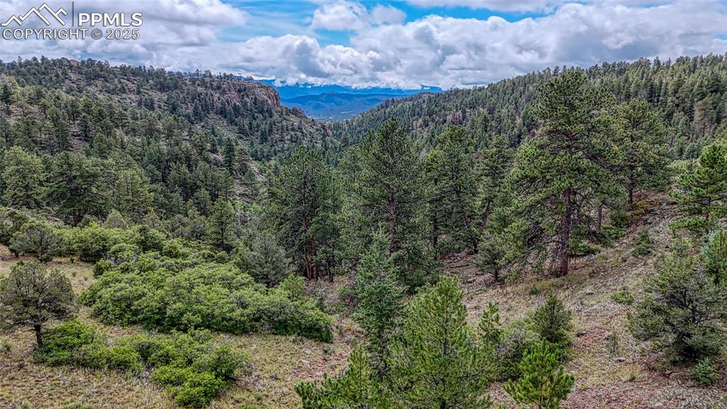 62 Cheyenne Road Florissant CO 80816