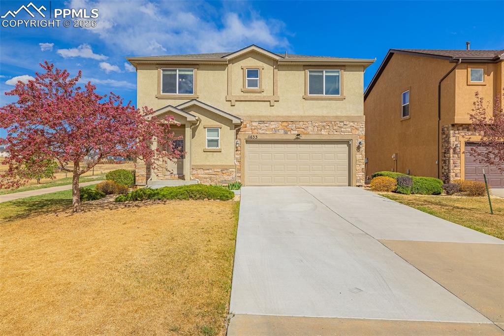 11633 Black Maple Lane Colorado Springs CO 80921