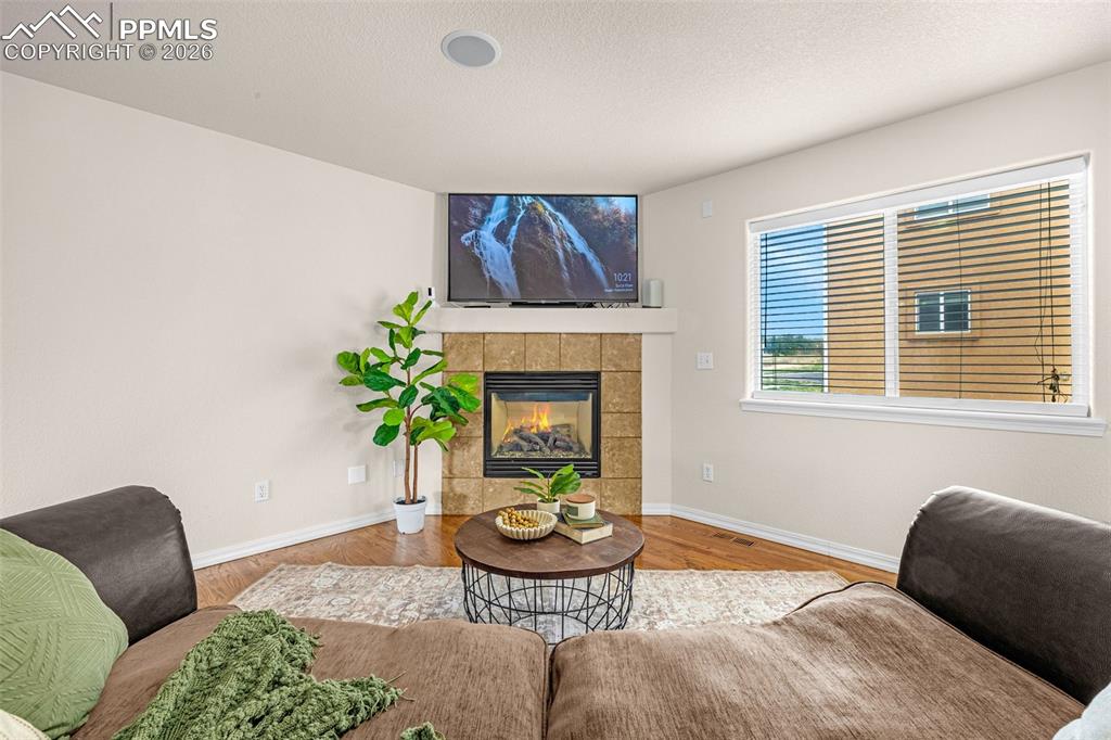 11633 Black Maple Lane Colorado Springs CO 80921