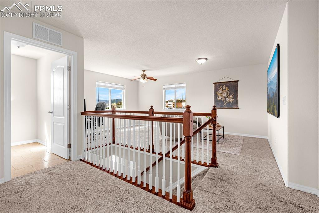11633 Black Maple Lane Colorado Springs CO 80921
