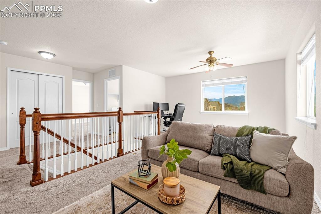 11633 Black Maple Lane Colorado Springs CO 80921