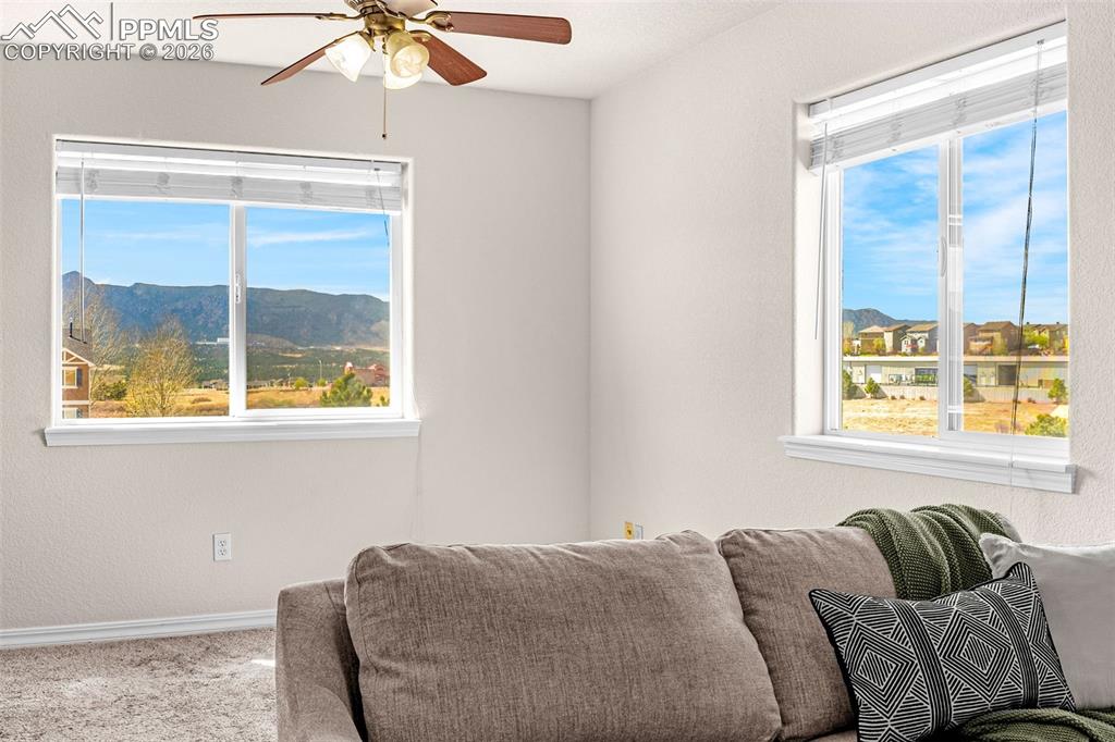 11633 Black Maple Lane Colorado Springs CO 80921
