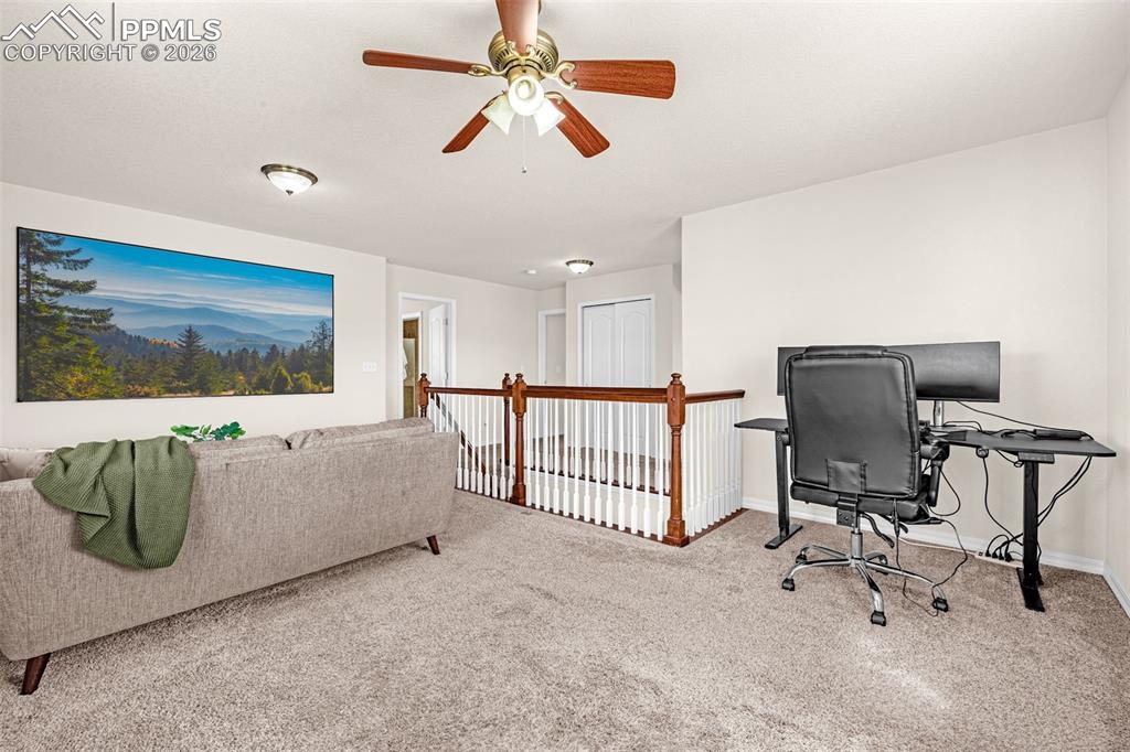 11633 Black Maple Lane Colorado Springs CO 80921