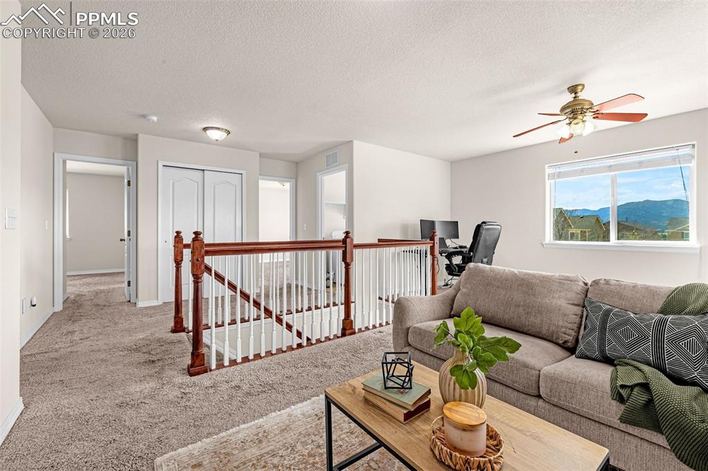 11633 Black Maple Lane Colorado Springs CO 80921