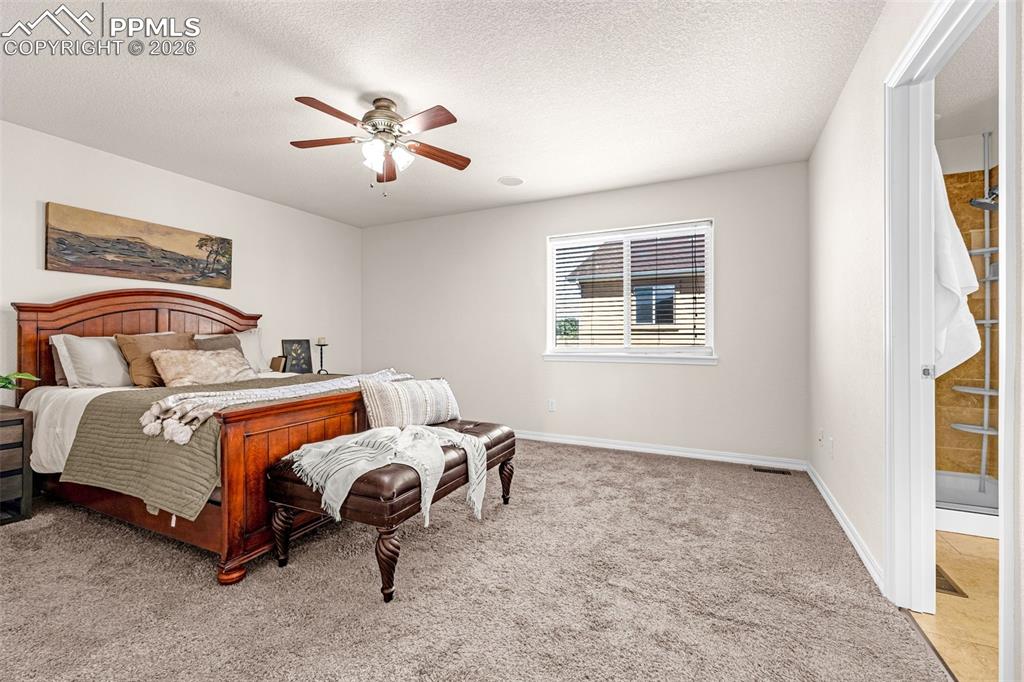 11633 Black Maple Lane Colorado Springs CO 80921