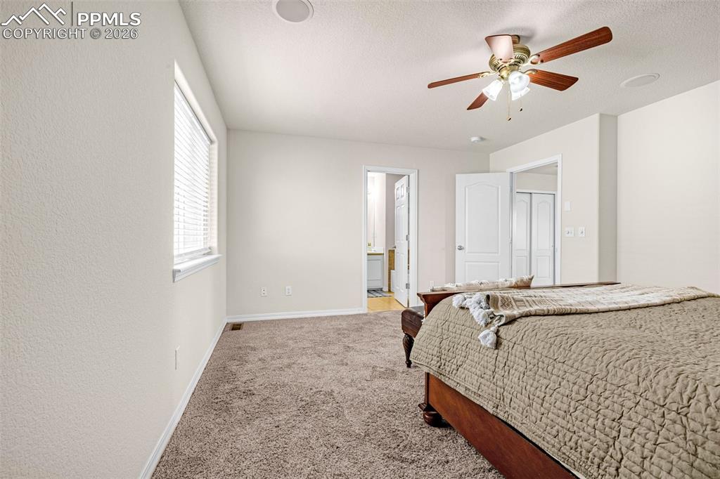 11633 Black Maple Lane Colorado Springs CO 80921