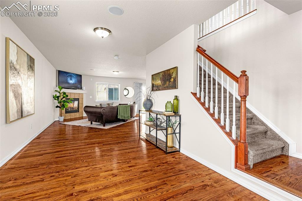 11633 Black Maple Lane Colorado Springs CO 80921