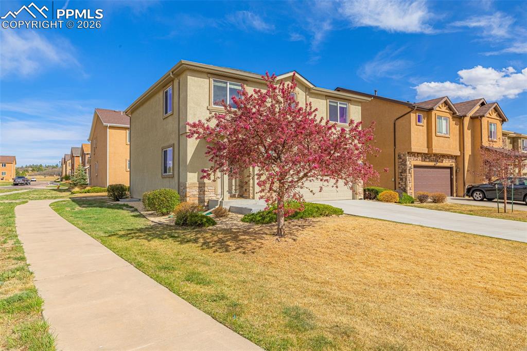 11633 Black Maple Lane Colorado Springs CO 80921