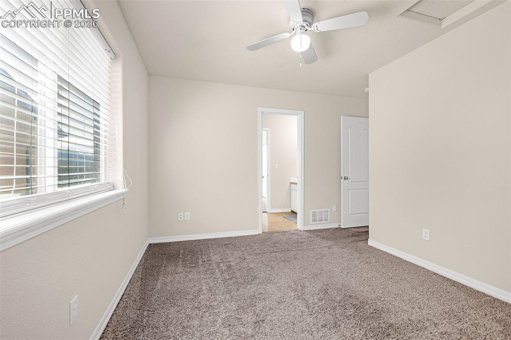 11633 Black Maple Lane Colorado Springs CO 80921