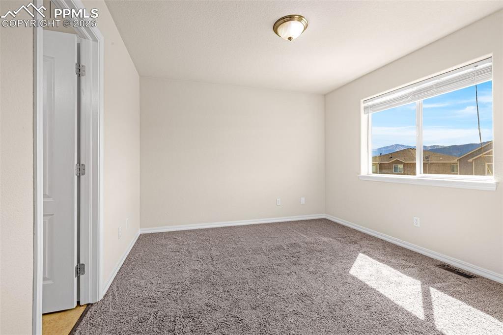 11633 Black Maple Lane Colorado Springs CO 80921