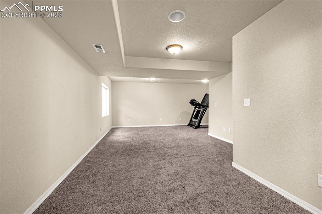 11633 Black Maple Lane Colorado Springs CO 80921