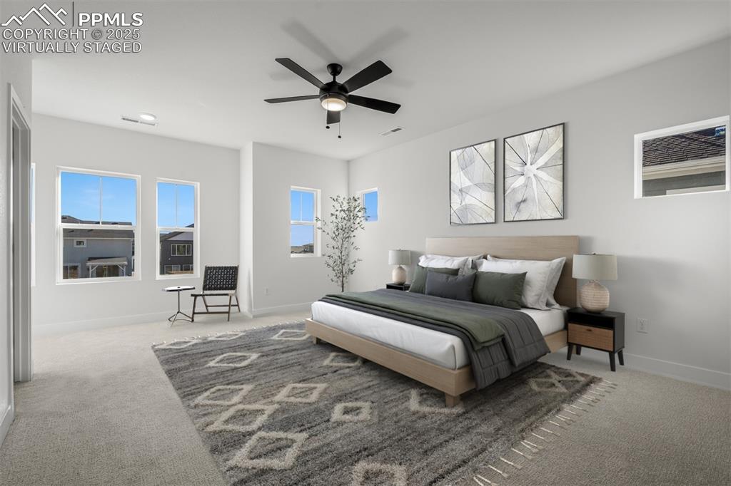 8916 Wolf Valley Drive Colorado Springs CO 80924