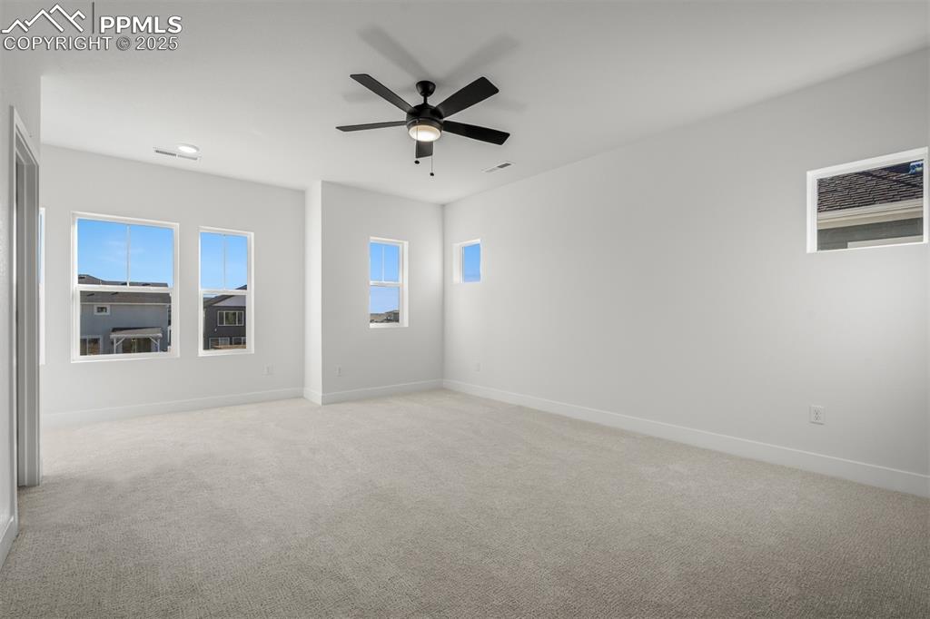 8916 Wolf Valley Drive Colorado Springs CO 80924