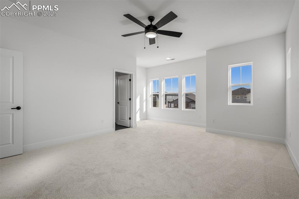 8916 Wolf Valley Drive Colorado Springs CO 80924