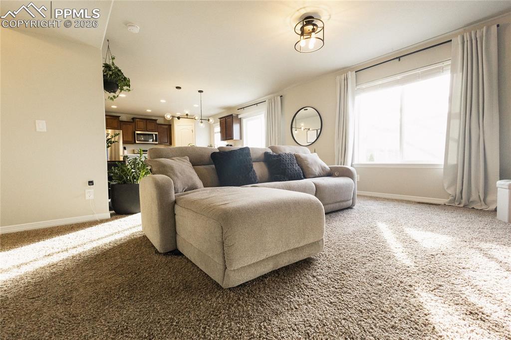 9901 Castor Drive Colorado Springs CO 80925