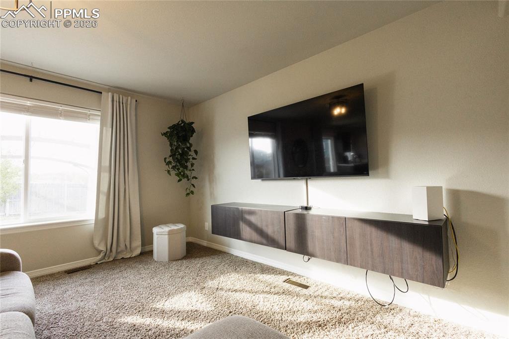 9901 Castor Drive Colorado Springs CO 80925