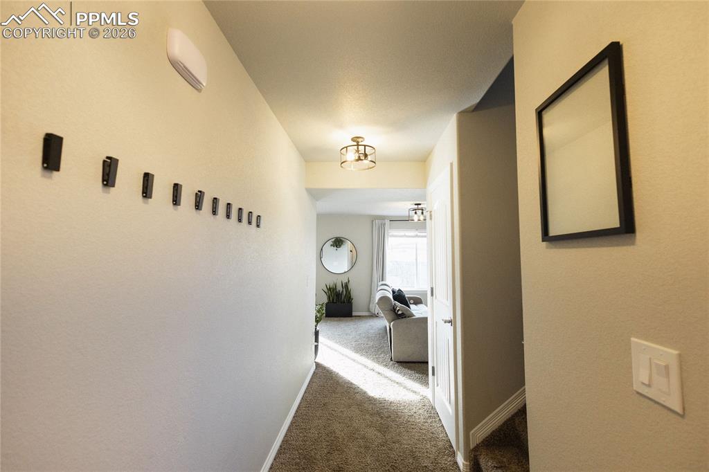 9901 Castor Drive Colorado Springs CO 80925