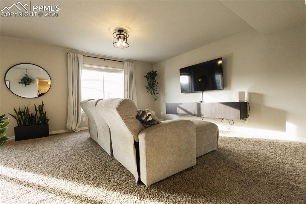 9901 Castor Drive Colorado Springs CO 80925