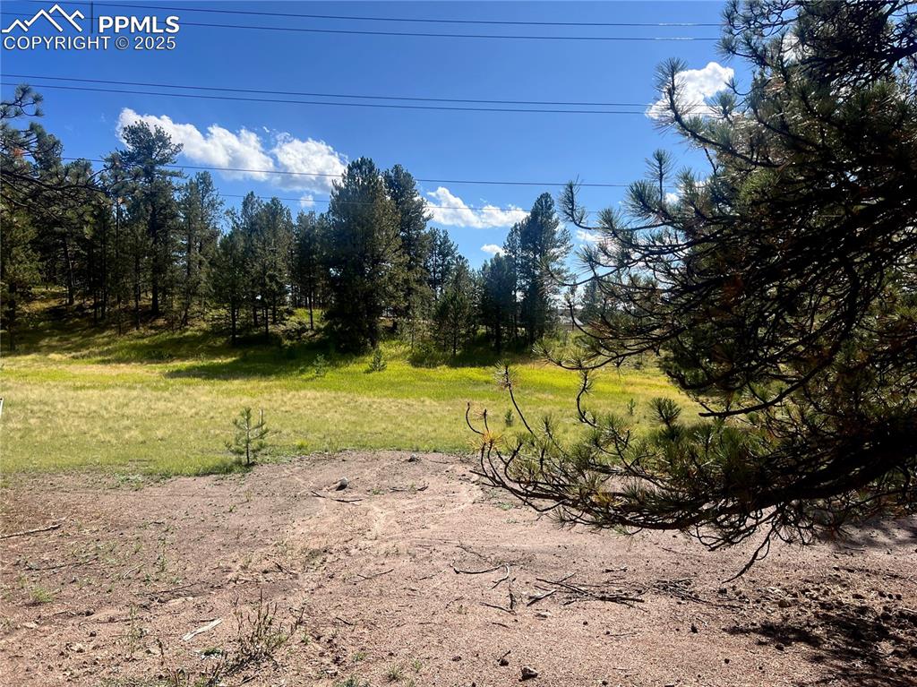 240 N Mountain Estates Road Florissant CO 80816