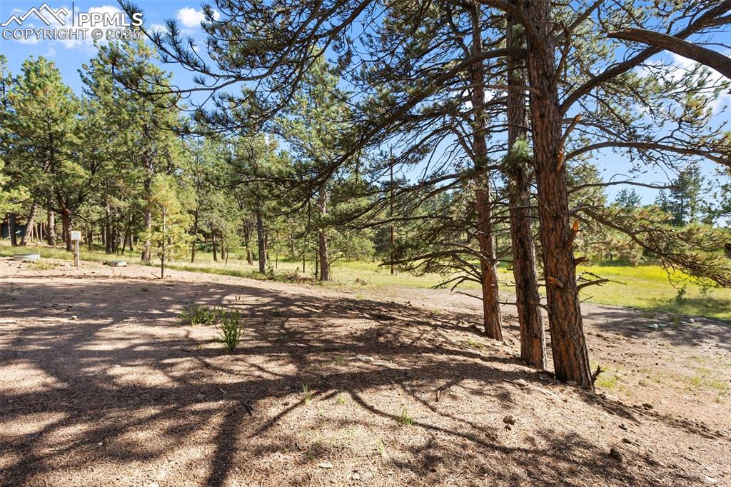 240 N Mountain Estates Road Florissant CO 80816