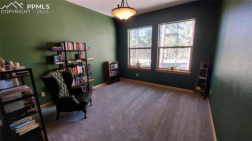 1020 Parkway Lane Woodland Park CO 80863
