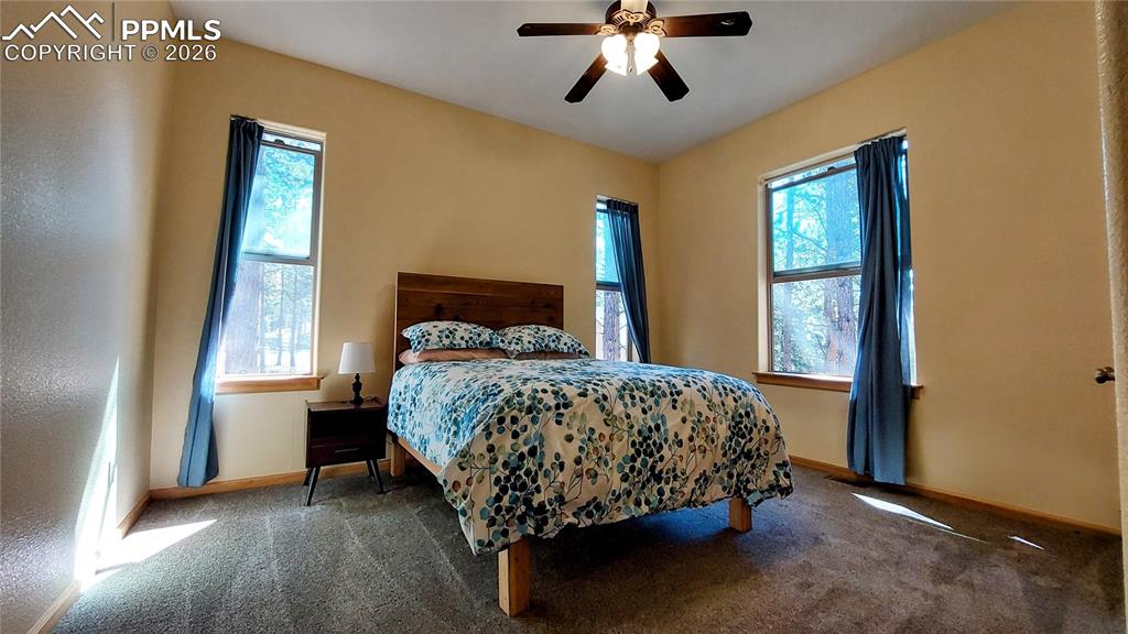 1020 Parkway Lane Woodland Park CO 80863