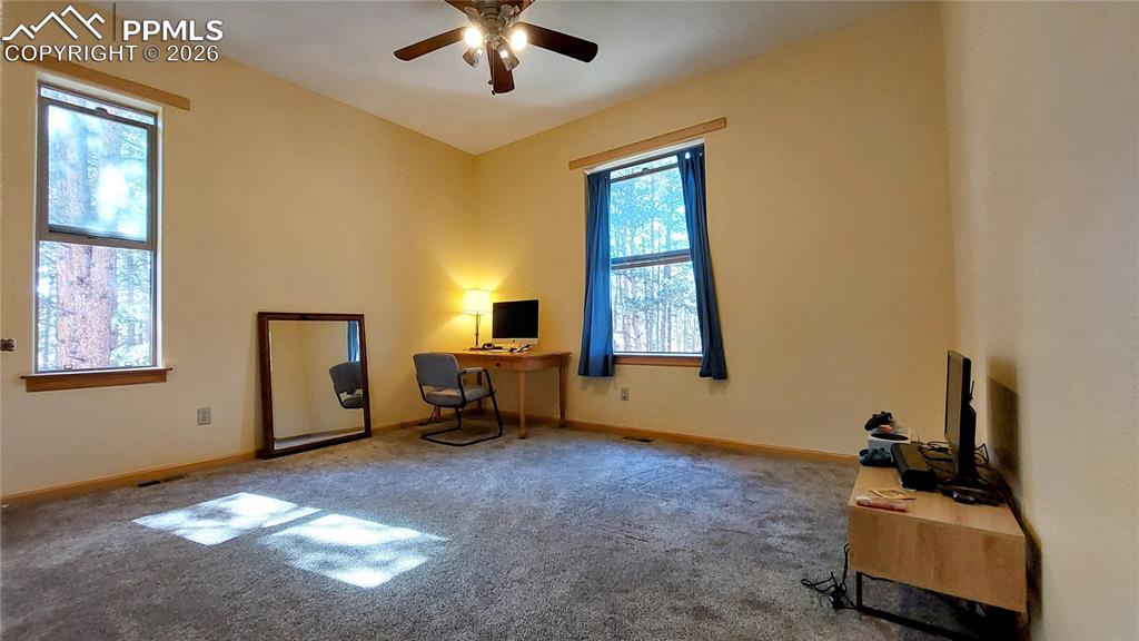 1020 Parkway Lane Woodland Park CO 80863
