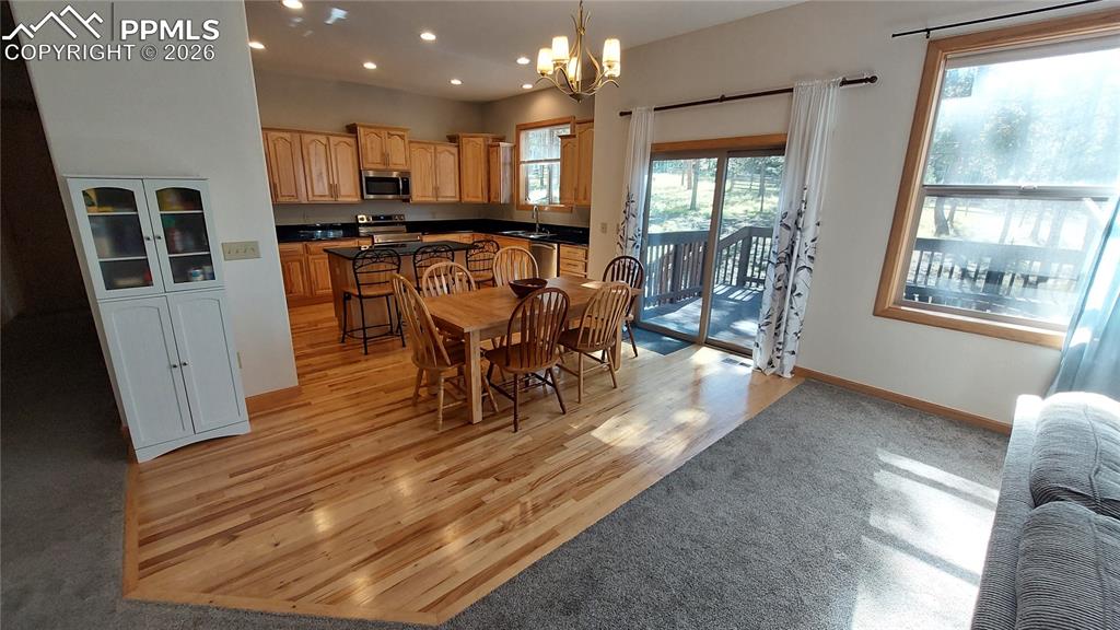 1020 Parkway Lane Woodland Park CO 80863
