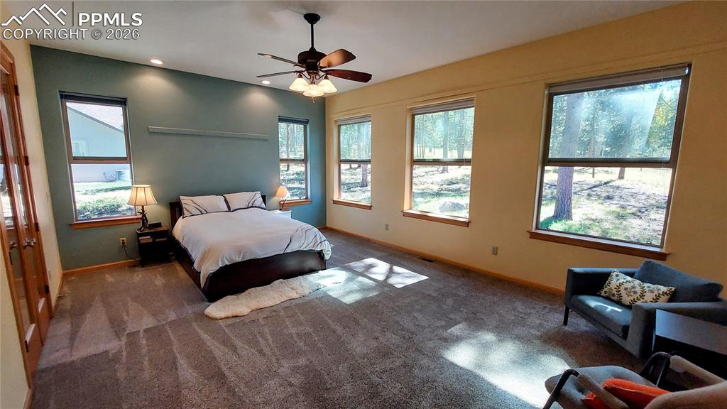 1020 Parkway Lane Woodland Park CO 80863