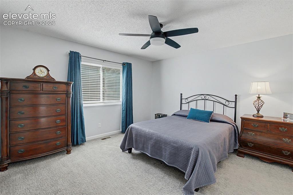 5955 Leather Drive Colorado Springs CO 80923