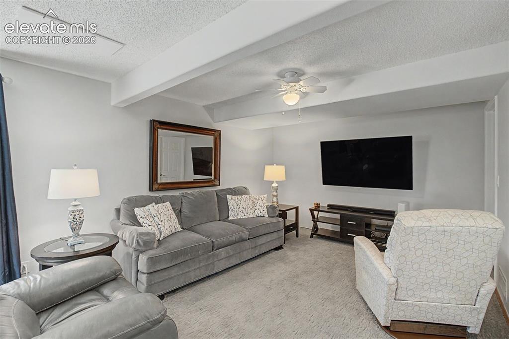 5955 Leather Drive Colorado Springs CO 80923
