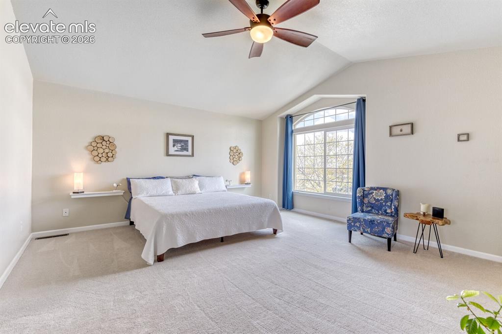 7304 Candelabra Drive Colorado Springs CO 80925