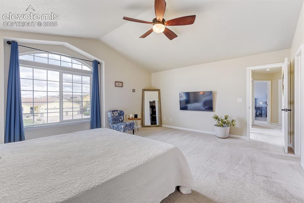 7304 Candelabra Drive Colorado Springs CO 80925