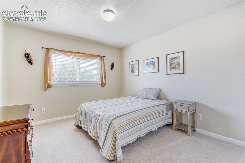 7304 Candelabra Drive Colorado Springs CO 80925