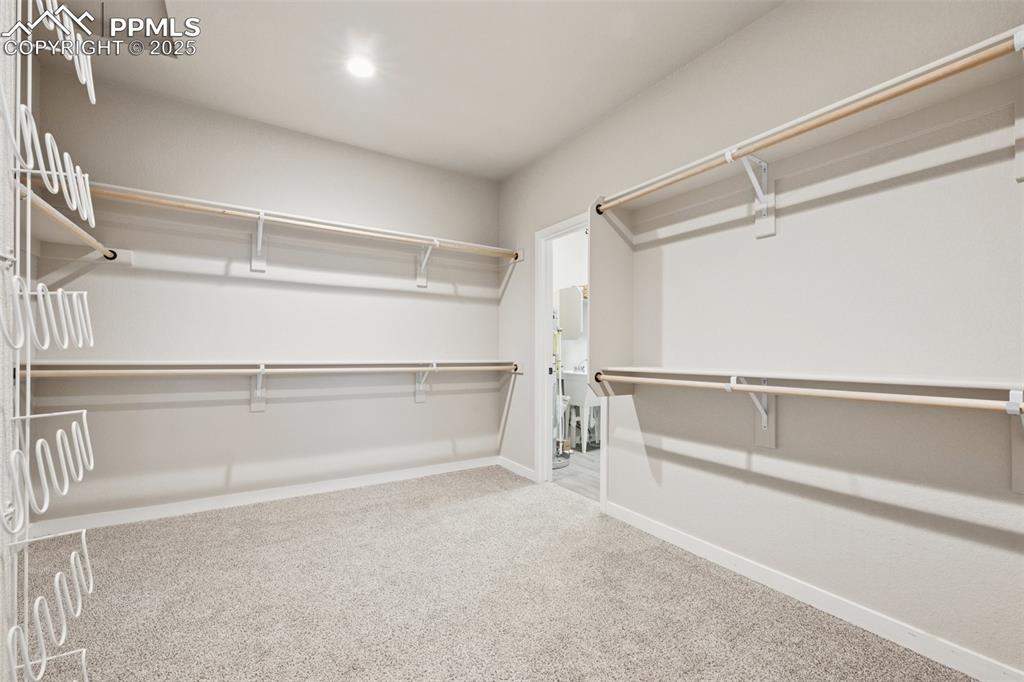 491 Blanket Flower Street Calhan CO 80808