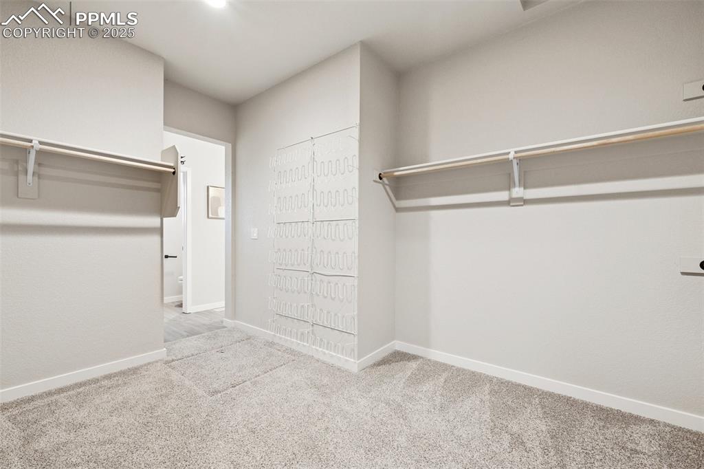 491 Blanket Flower Street Calhan CO 80808