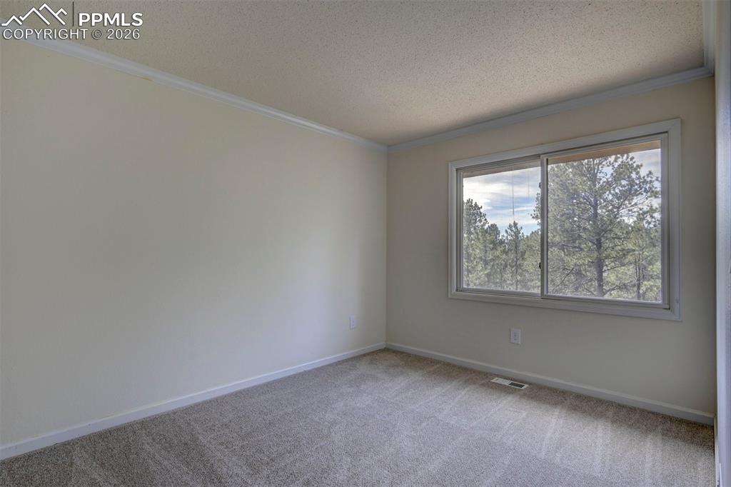18320 Sloan Lane Monument CO 80132