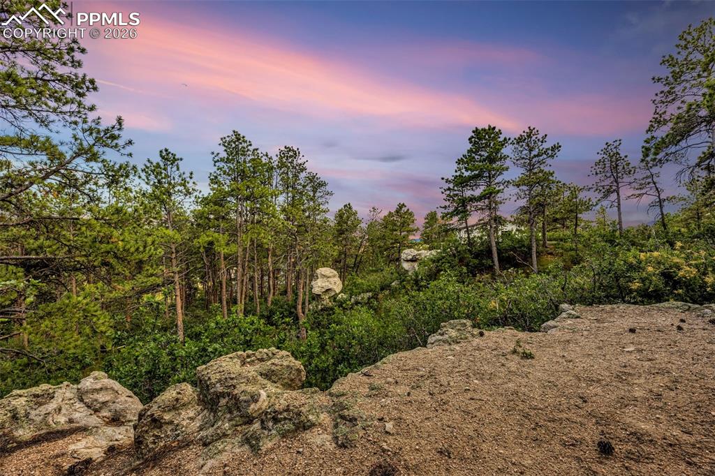 205 Cobblestone Way Monument CO 80132