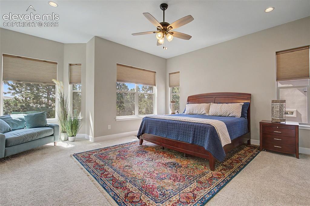 16249 Thunder Cat Way Monument CO 80132