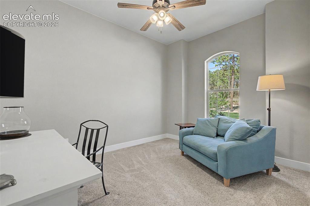 16249 Thunder Cat Way Monument CO 80132