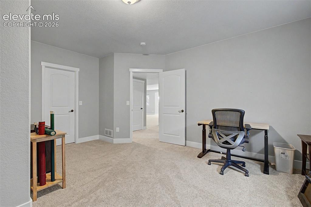 16249 Thunder Cat Way Monument CO 80132