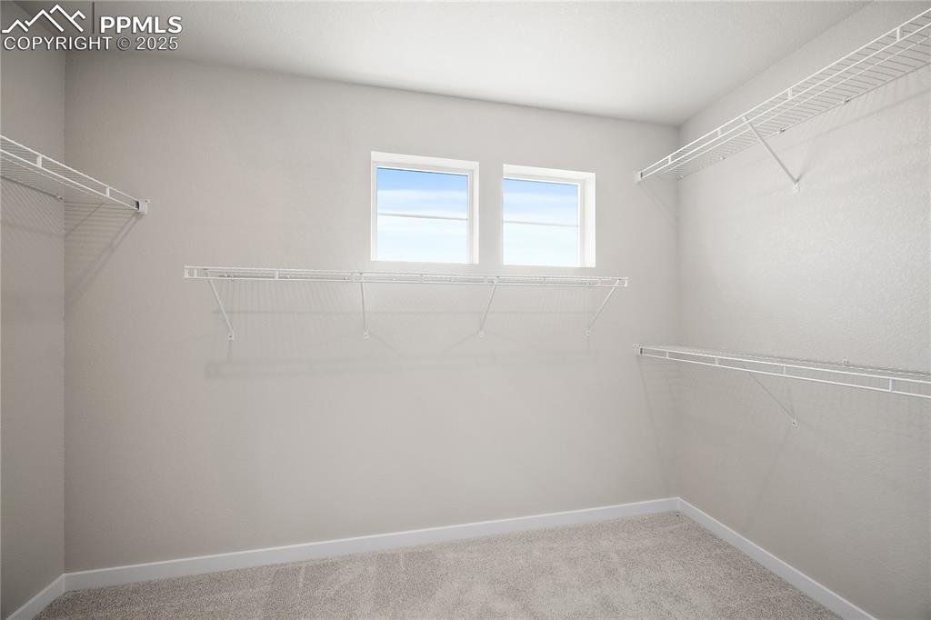 9162 Golden Buffs Drive Colorado Springs CO 80925