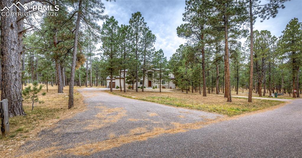 10916 Silver Mountain Point Colorado Springs CO 80908